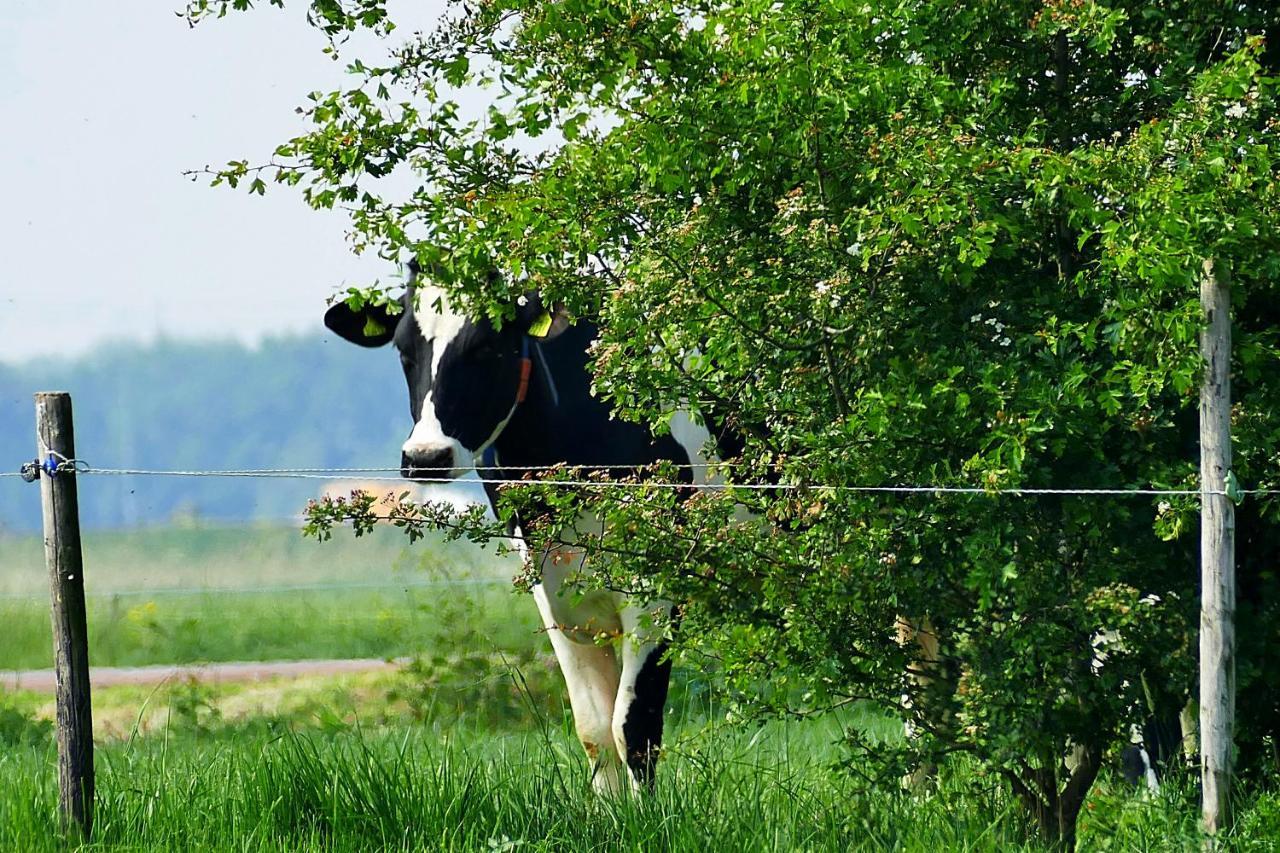 Boerderij Zonneveld Villa Rossum  Ngoại thất bức ảnh